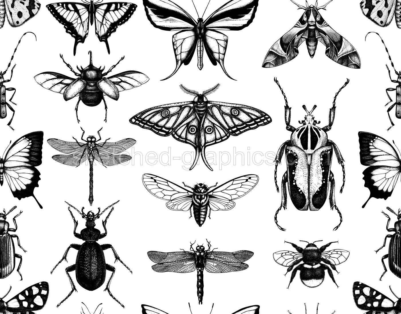 Seamless pattern with hand-sketched insects. Hand drawn beetles, bugs, butterflies, dragonfly, cicada, moths, bee illustrations. Vintage style backdrop. Entomological vector background Illustration